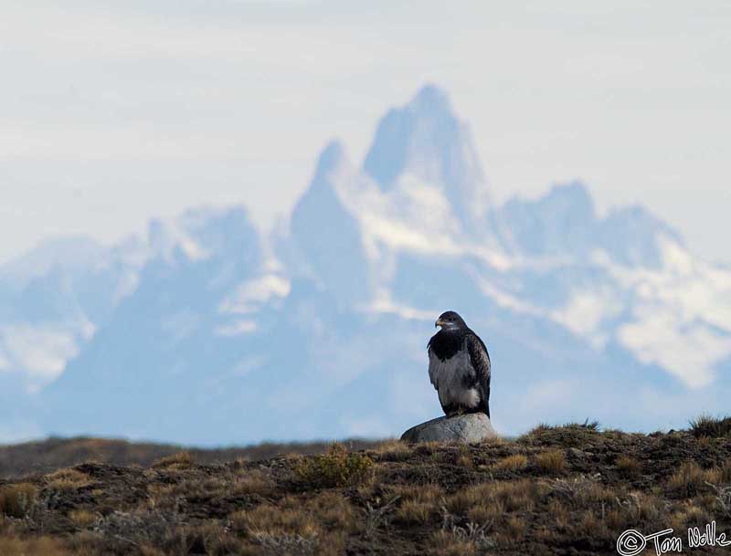 2005_Patagonia_04_0044