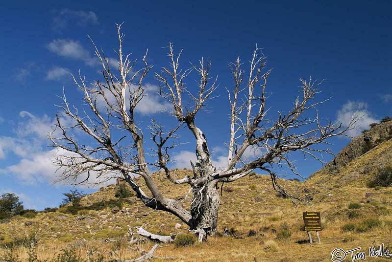 2005_Patagonia_07_0079