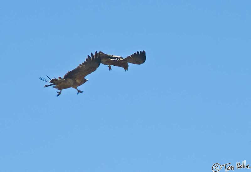 2005_Patagonia_07_0091