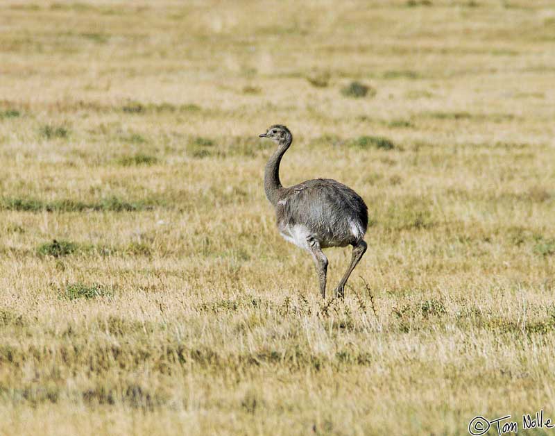 2005_Patagonia_10_0055