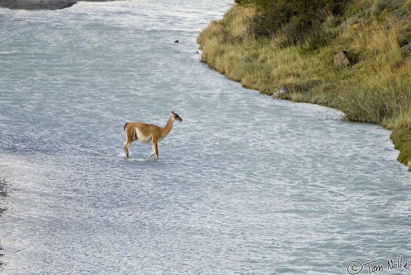 2005_Patagonia_10_0151