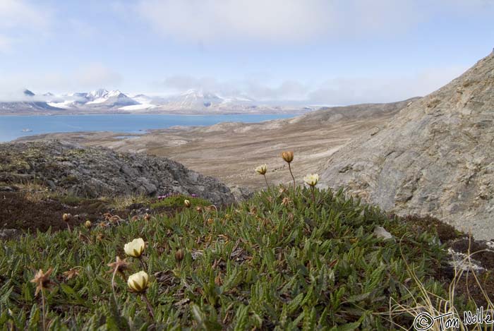 2005_Spitsbergen_06S_021