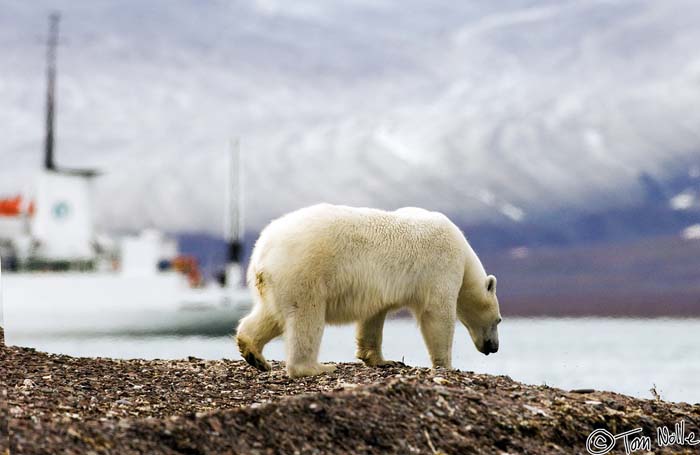 2005_Spitsbergen_07D_337