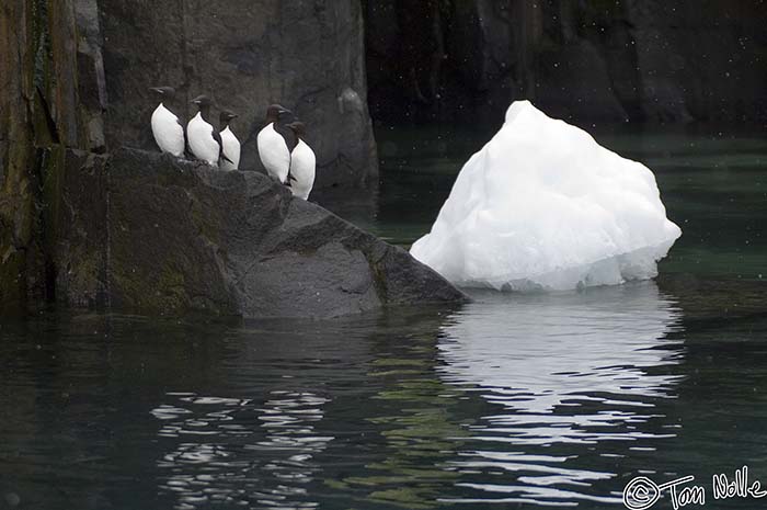 2005_Spitsbergen_09D_047