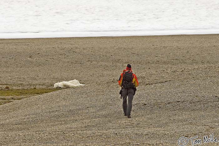 2005_Spitsbergen_10D_225