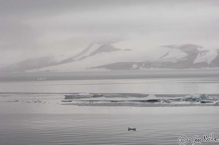 2005_Spitsbergen_10D_231