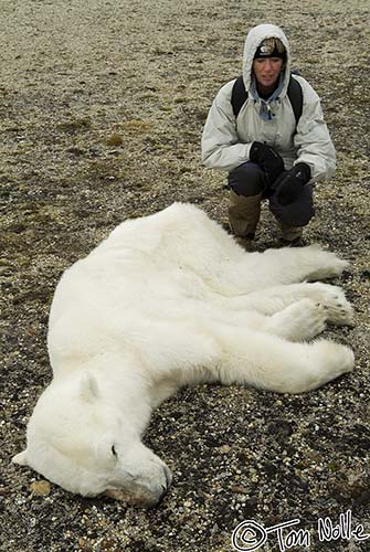 2005_Spitsbergen_10S_037