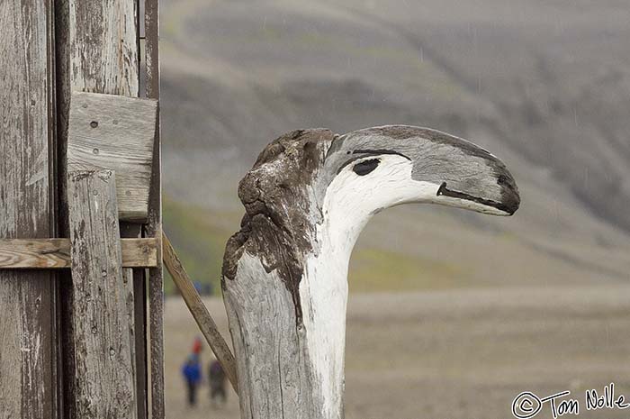 2005_Spitsbergen_12D_257