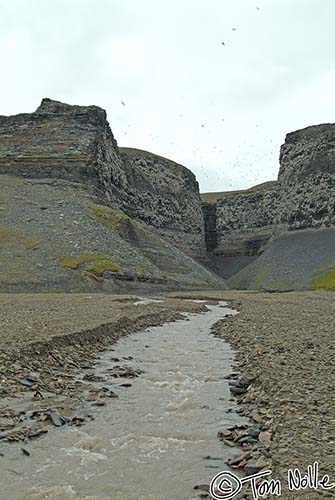 2005_Spitsbergen_12S_001