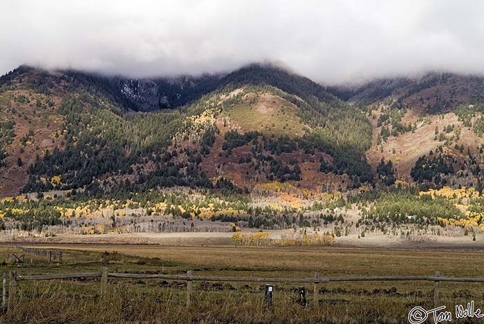 2005_Yellowstone_01S_003