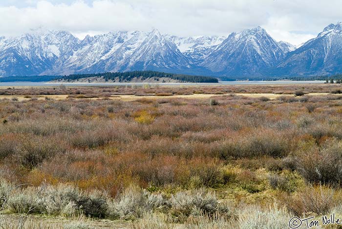 2005_Yellowstone_01S_029