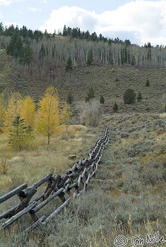 2005_Yellowstone_01S_033