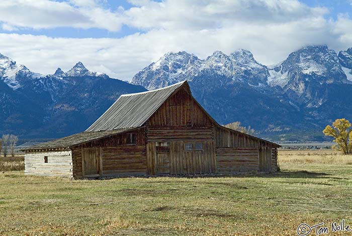 2005_Yellowstone_01S_046