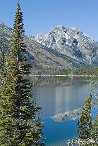 2005_Yellowstone_02S_014