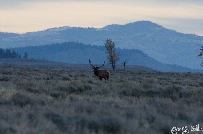 2005_Yellowstone_03D_038