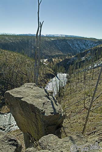 2005_Yellowstone_03S_015