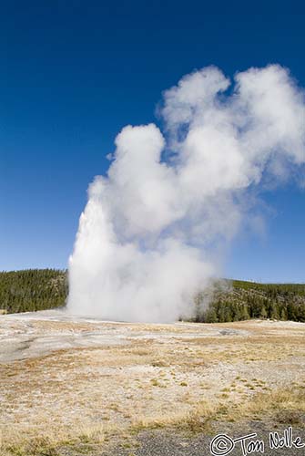 2005_Yellowstone_03S_027