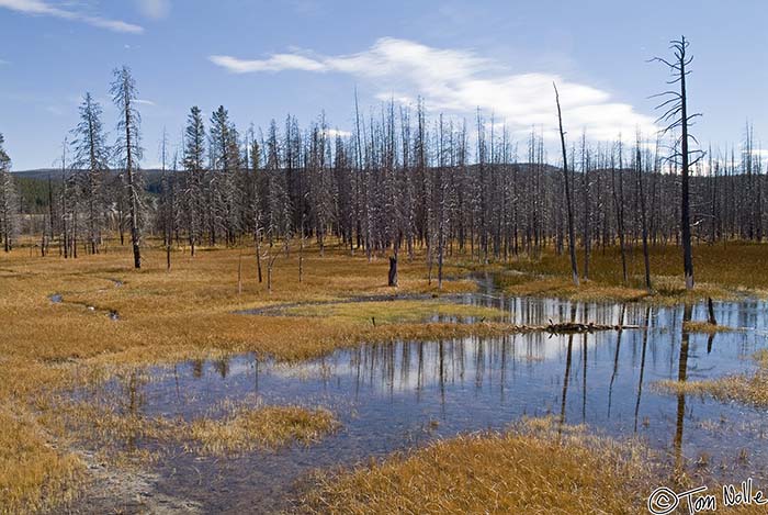 2005_Yellowstone_03S_039