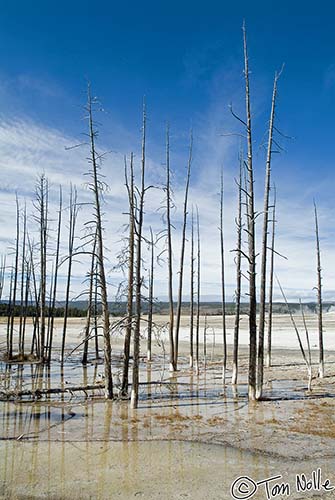 2005_Yellowstone_03S_042