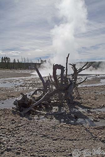 2005_Yellowstone_03S_061