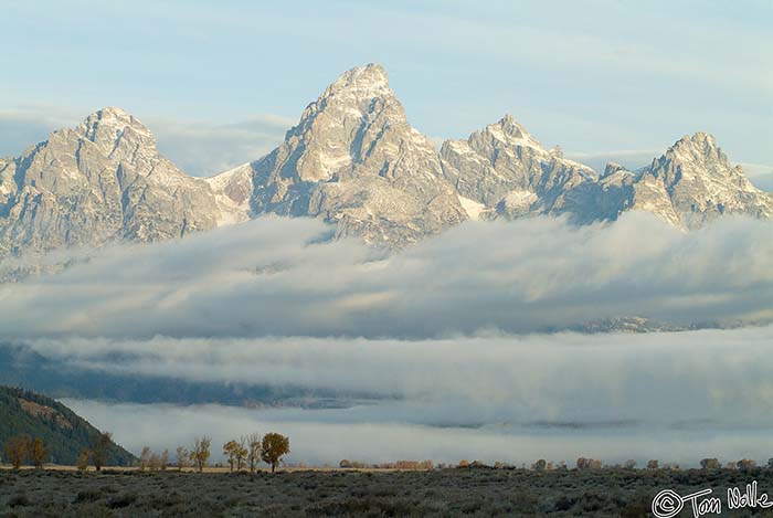 2005_Yellowstone_05S_083