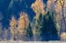 2005_Yellowstone_03D_139