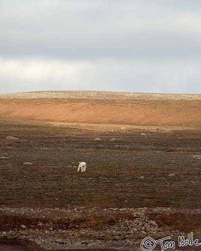 Greenland_20060906_0453_X_027