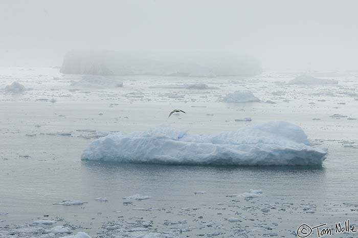 Greenland_20060916_1010_X_184