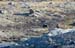 Greenland_20060910_0554_X_115