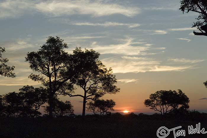 Africa_20061114_1209_118_20