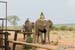 Africa_20061117_1010_241_20