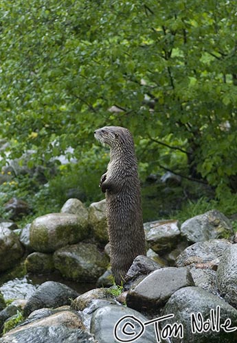 Scotland_20070519_0559_076_20