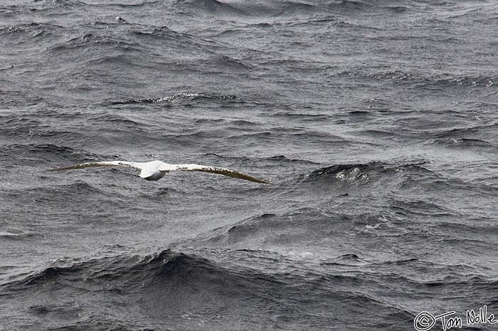 Antarctica_20080113_132214_076_2X