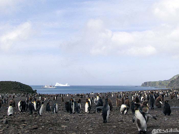 Antarctica_20080115_124509_006_S