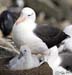 Antarctica_20080111_070104_548_2X