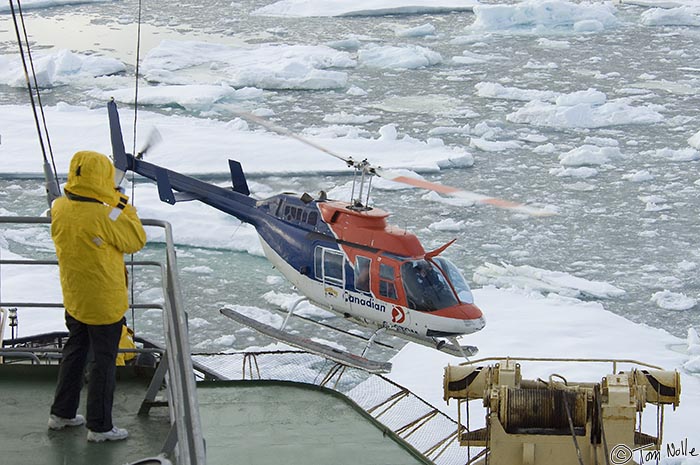 ArcticQ_20080901_082726_577_2X.jpg - Our scouting helicopter lifts off to check conditions in Nares Strait betwen Ellesmere Island and Greenland.