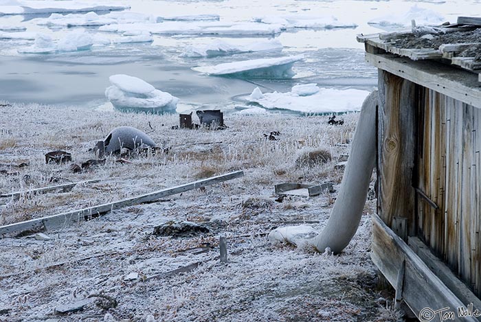 ArcticQ_20080901_101238_343_20.jpg - Nothing decays quickly in the Arctic so the left-overs of more than 100 years ago still look like they were discarded recently.  Fort Conger, Ellesmere Island, Canada.