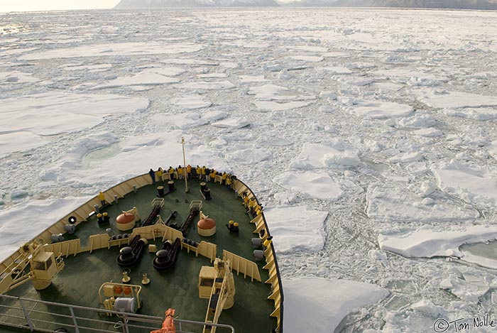 ArcticQ_20080902_134640_662_20.jpg - This is one of the heavier ice areas at the south end of the Kennedy Channel between Ellesmere Island and northwest Greenland.