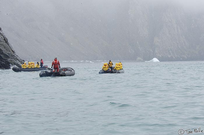 ArcticQ_20080904_091544_588_2X.jpg - This defines what polar travel is like; you're in zodiacs in the snow and fog watching birds on cliffs.  Coburg Island, east of Devon Island Nunavut, Canada.