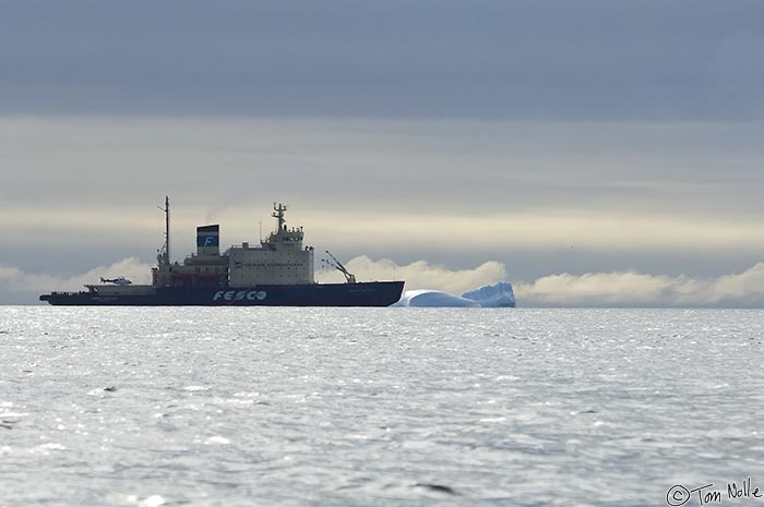 ArcticQ_20080909_104418_497_2X.jpg - The Kapitan Klebnikov anchors near an iceberg just east of Lady Franklin Island off Baffin Island, Canada.