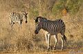 Africa_20081029_002214_142_2X