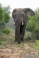 Africa_20081109_001446_589_20