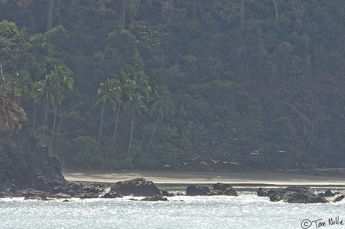 CostaRica_20100319_100314_016_2X.jpg - Sunlight is just hitting a beach shadowed by hills and large trees.  Darien Coast of Panama.