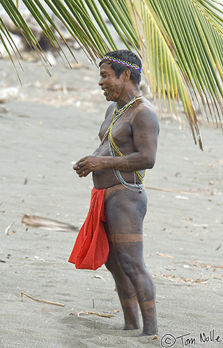 CostaRica_20100319_114408_060_2X.jpg - A male of the tribe waits under the shade of a palm as more of our group come ashore at their village.  The tatoos are made from vegetable dye and are not permanent.  Playa de Muerto, Darien, Panama.