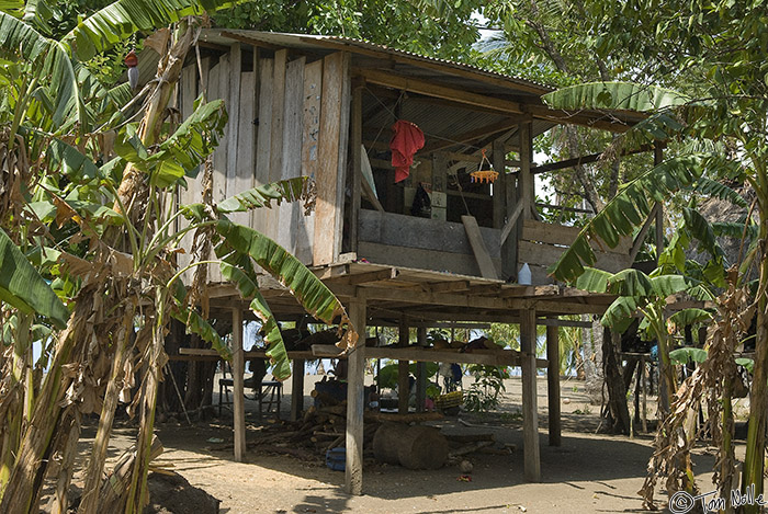 CostaRica_20100319_120620_870_20.jpg - Huts are built on stilts, largely because there are at least occasional storm tides that will roll this far inland.  Playa de Muerto, Darien, Panama.