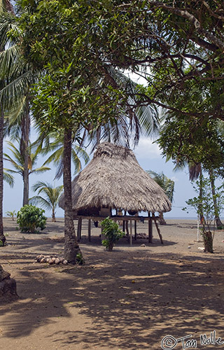 CostaRica_20100319_124206_872_20.jpg - The edge of the Embera village at the beach shows that it's well-kept and neat.  Playa de Muerto, Darien, Panama.