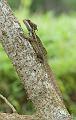 CostaRica_20100317_155920_701_2X