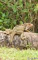 CostaRica_20100321_151556_614_2X