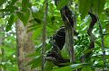 CostaRica_20100323_171906_484_2X