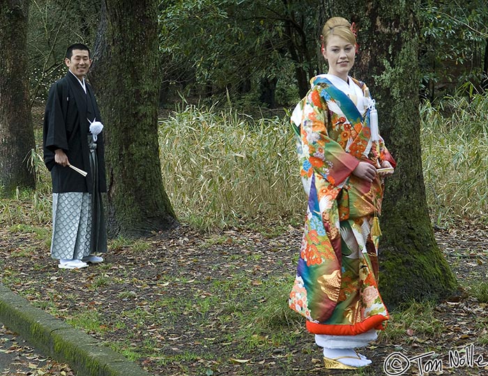 Japan_20080409_223832_019_20.jpg - A western bride in a traditional Japanese wedding at the Botanical Gardens Kyoto Japan.